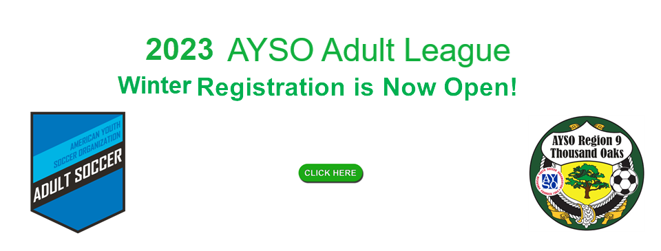 AYSO Adult League