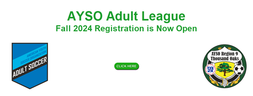 AYSO Adult League