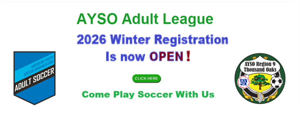 Winter Adult League Registration