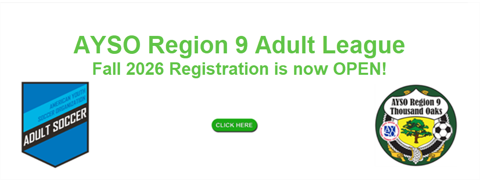 AYSO Adult League