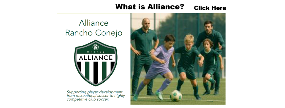 All about Alliance